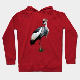 Black crowned crane Hoodie